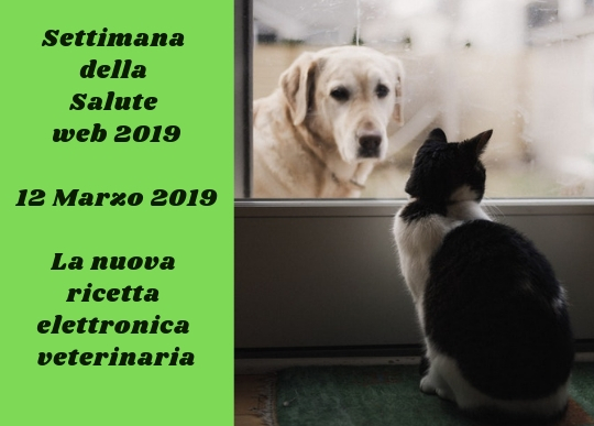 settimana della salute 12 marzo 2019.jpg
